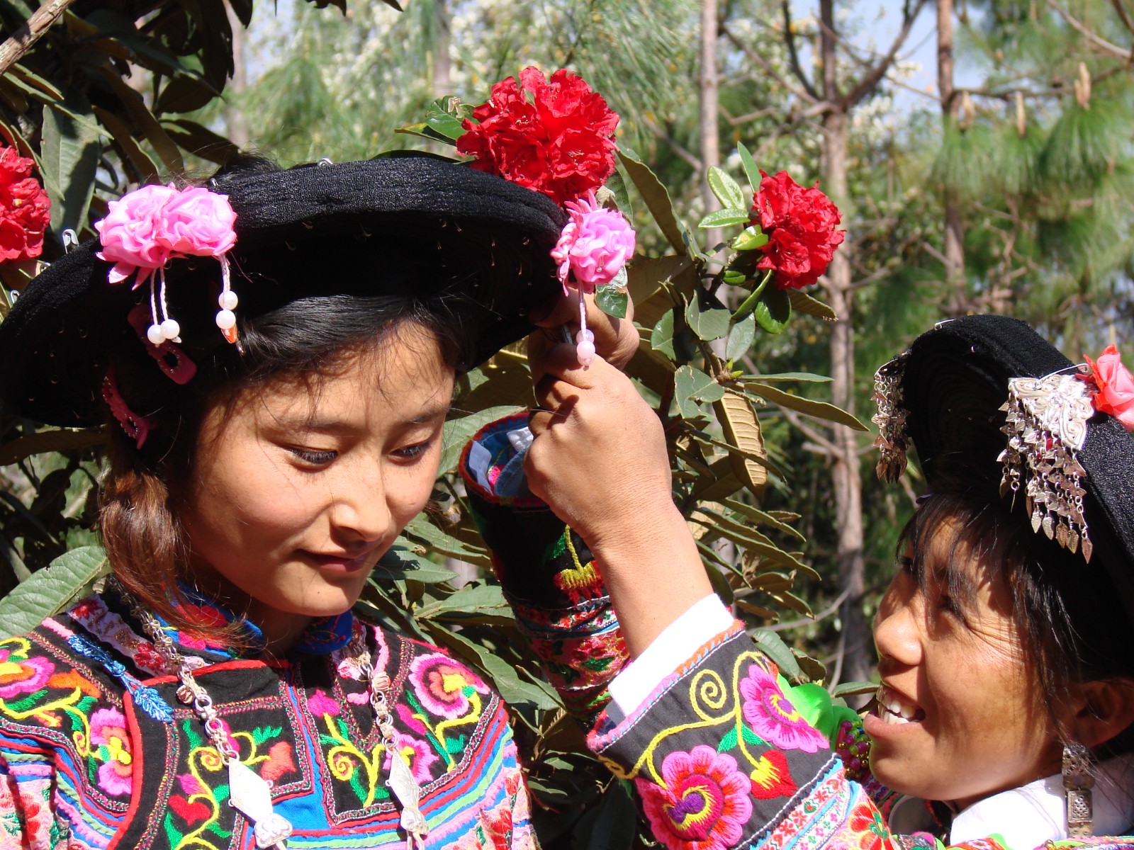 马缨花节--成人礼